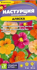 Цветы Настурция Аляска низкорослая/Сем Алт/цп 0,5 гр