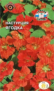 Настурция Ягодка низкоросл. 1гр Седек