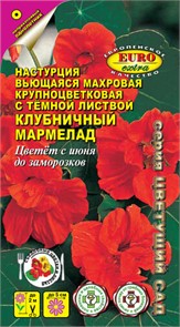 Настурция Клубничный мармелад(Аэлита)крупноцветковая,2м