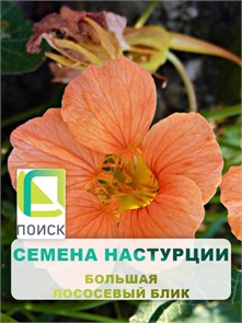 Настурция большая Лососёвый блик 1гр Поиск