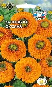 Календула Оксана (оранжевая с зеленым центром) Седек