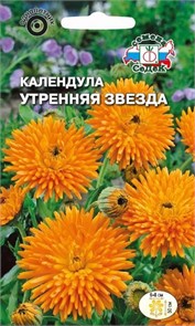 Календула Утренняя Звезда (оранжевая) Седек