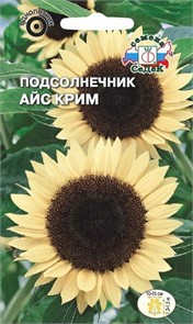 Подсолнечник Айс крим (увечный, кремовый) Седек