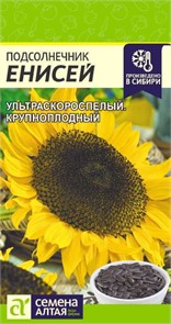 Подсолнечник Енисей/Сем Алт/цп 10 гр.