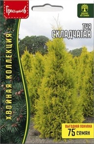 Туя Складчатая 0,1г Ред.Сем