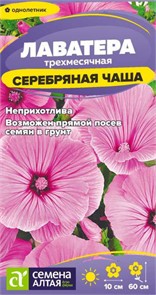 Цветы Лаватера Серебряная чаша/Сем Алт/цп 0,2 гр
