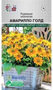 Рудбекия Амарилло Голд мохнатая 3шт Евросем