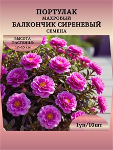 Портулак махровый Балкончик сиреневый 0,05гр Аэлита