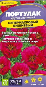 Цветы Портулак Супермахровый Вишневый