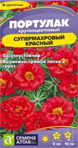Цветы Портулак Супермахровый Красный
