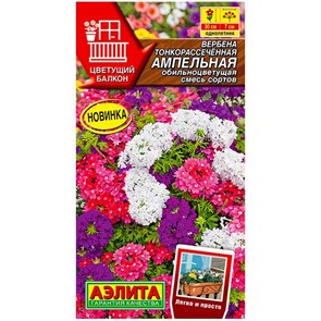 Вербена Ампельная обильноцветущая, смесь сортов 30шт Аэлита