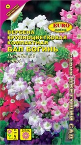 Вербена Бал богинь (Аэлита)крупноцв смесь, однол, 25см 115760
