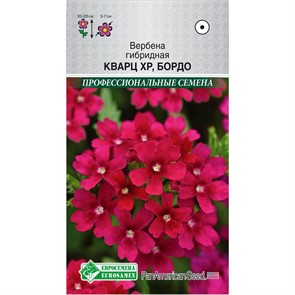 Вербена Кварц XP Бордо гибридная 5шт Евросем