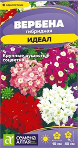 Цветы Вербена Идеал гибридная/Сем Алт/цп 0,05 гр.