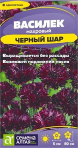 Василек Черный Шар махровый 0,3-0,5гр СА