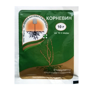 Корней 10г 1/10/200 (З/А)