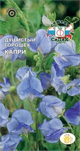 Душистый Горошек Капри (светло-голубой) Седек
