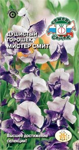 Душистый Горошек Мистер Смит (Мачмейкер, фиолетово-лилово-белый) Седек