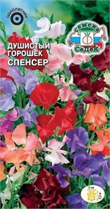 Душистый Горошек Спенсер (смесь цветов) Седек