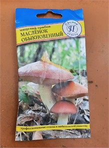 Грибы Масленок Обыкновенный 50мл Престиж