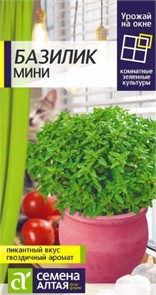 Зелень Базилик Мини/Сем Алт/цп 0,1 гр. УРОЖАЙ НА ОКНЕ!