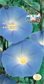 Ипомея Ангелок 0,5гр Седек