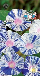 Ипомея Додо 0,2г Седек