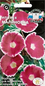 Ипомея Малиновка 0,25г Седек