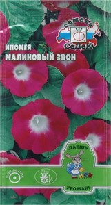 Ипомея Малиновый Звон (вид пурпурная, пурпурно-лиловая) Седек