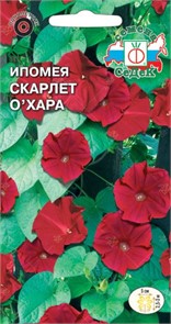Ипомея Скарлет О`Хара 0,5г Седек