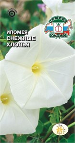 Ипомея Снежные Хлопья (вид шиповатая, белая) Седек