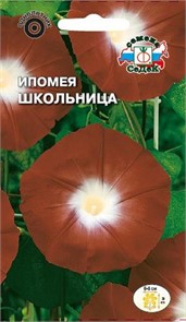 Ипомея Школьница 0,5г Седек