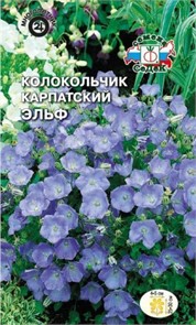 Колокольчик Эльф (карпатский, голубой) Седек