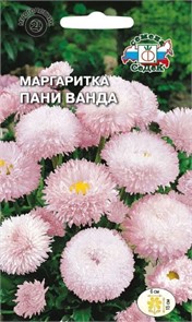 Маргаритка Пани Ванда (многолетняя, розовая) Седек