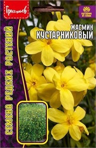 Жасмин Кустарниковый 5шт Ред.Сем