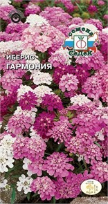 Иберис зонтичный Гармония 0,1г Седек
