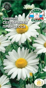 Нивяник Серебрянная принцесса (низкорослый, крупноцветковый) Седек
