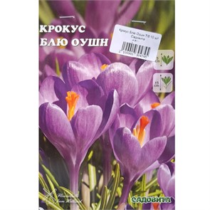 Крокус Блю Оушн