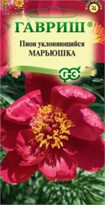 Пион Марьюшка уклоняющийся 3 шт.ГШ