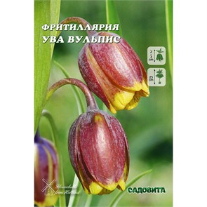 Фритиллярия Ува Вульпис 7/8 10 шт Садовита