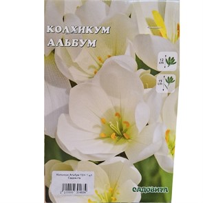 Колхикум Альбум 13/+ 1 шт Садовита