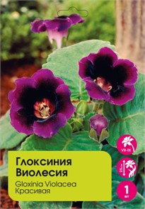 Глоксиния Виолесия красивая луковица 5/6 1шт