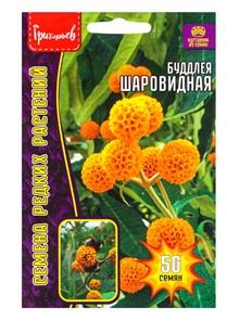 Буддлея Шаровидная 50шт Григорьев