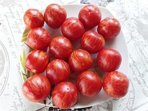 Томат Клубничный тигр 20шт Аэлита