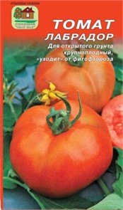 Томат Лабрадор Наш сад Ц