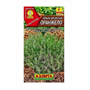 Тимьян Оранжело 10 шт Аэлита
