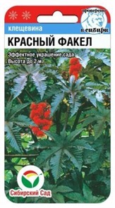 Клещевина Красный факел 5шт Сибирский сад