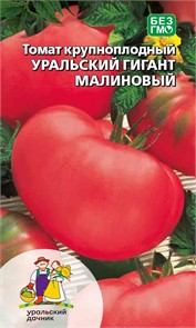 Томат Уральский гигант малиновый - крупноплодный (УД) Е/П [светокультура]