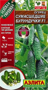 Огурец Сумасшедшие бурундучки F1 10шт Аэлита