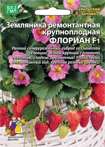 Земляника Флориан - ремонтантная F1 (УД)